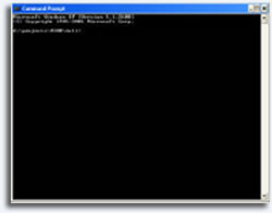 ARM to Visual Studio Converter Dos Screen