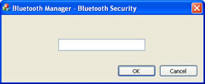 Bluetooth Manager